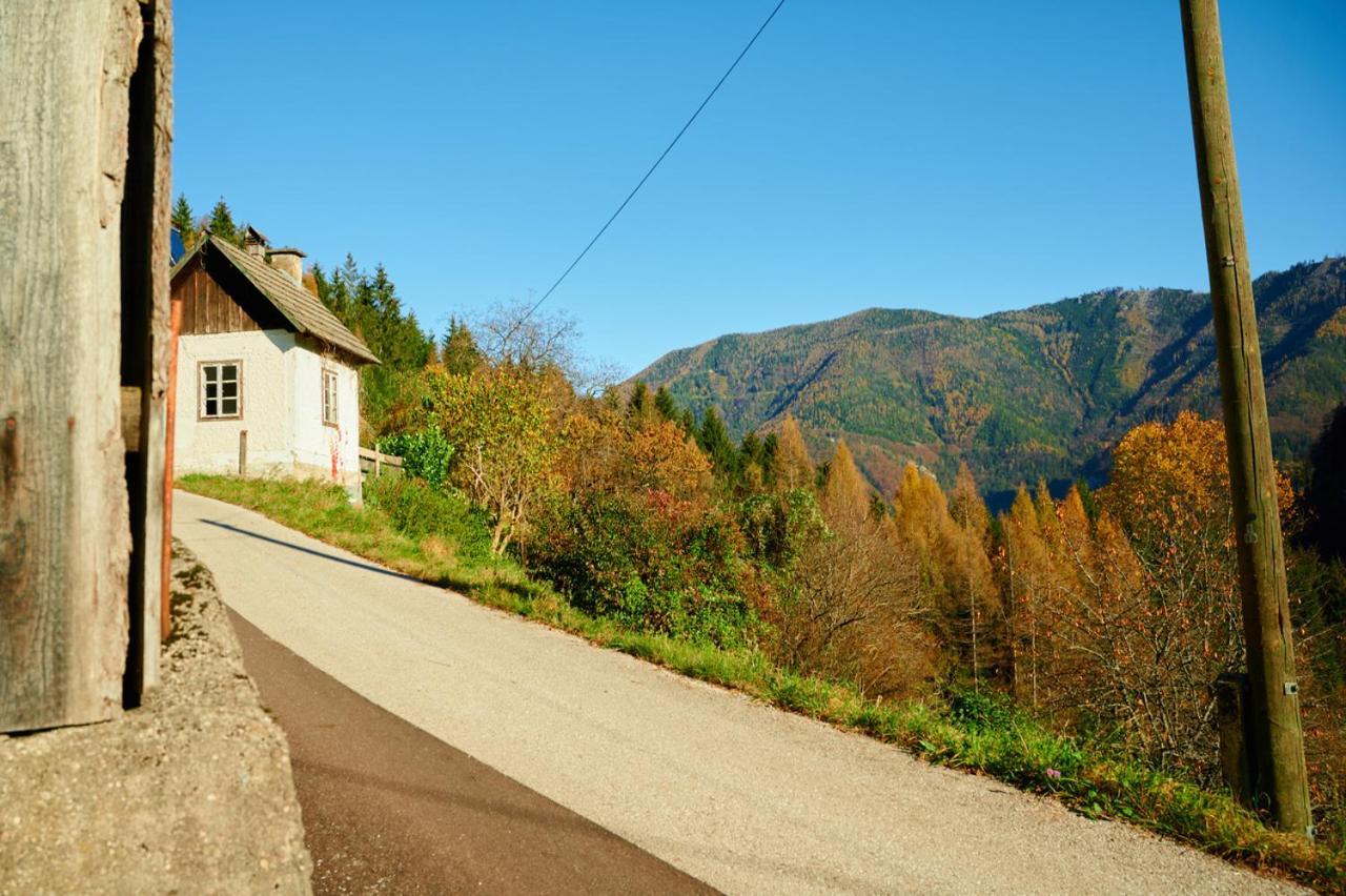 Romantische Ferienhuette Nationalpark Kalkalpen, Sonnig, 2 Schlafzimmer, Wlan Kleinreifling Εξωτερικό φωτογραφία