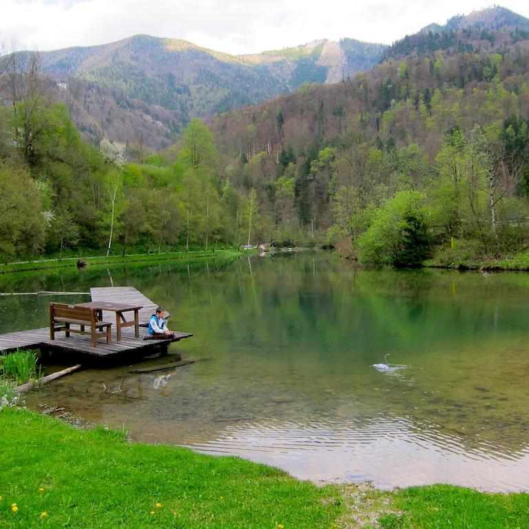 Romantische Ferienhuette Nationalpark Kalkalpen, Sonnig, 2 Schlafzimmer, Wlan Kleinreifling Εξωτερικό φωτογραφία