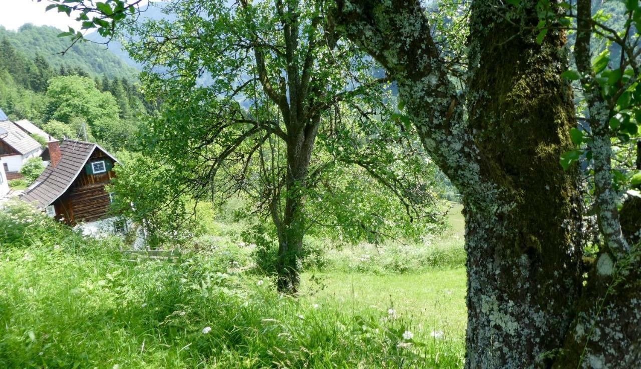 Romantische Ferienhuette Nationalpark Kalkalpen, Sonnig, 2 Schlafzimmer, Wlan Kleinreifling Εξωτερικό φωτογραφία